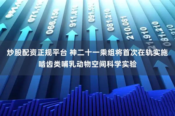 炒股配资正规平台 神二十一乘组将首次在轨实施啮齿类哺乳动物空间科学实验